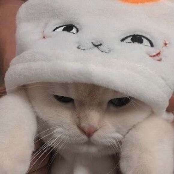 Meet your Posher, Janet - Picture 1 of 1